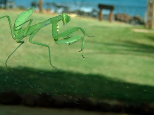 DSCF1805