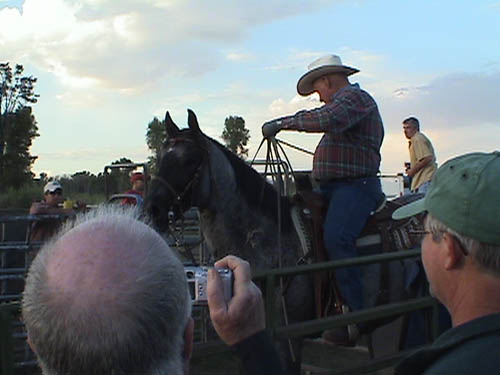 DSC00183