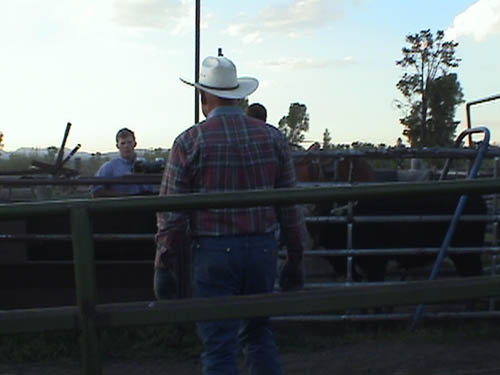 DSC00190