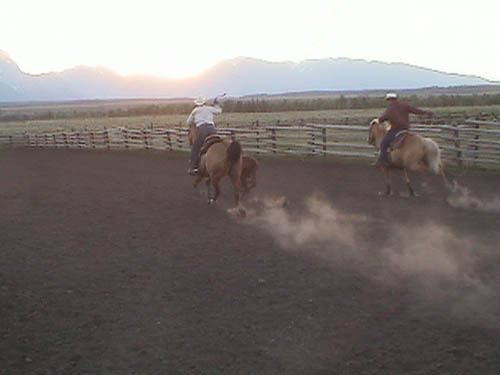 DSC00199