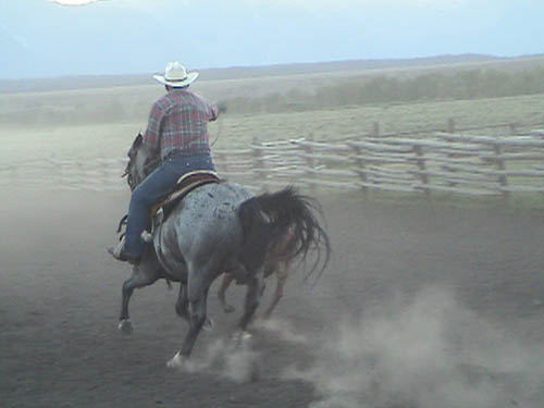 DSC00203