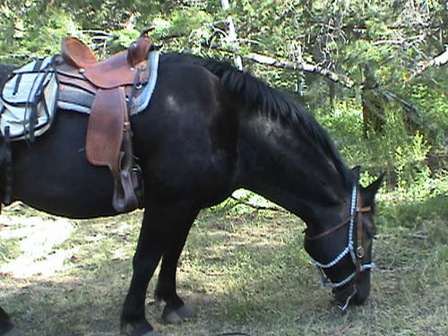 DSC00210