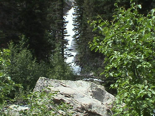 DSC00224