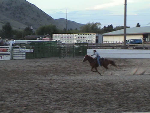 DSC00241