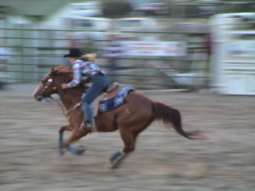 DSC00245