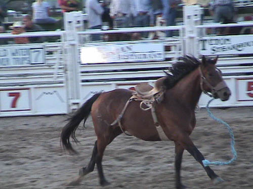DSC00247