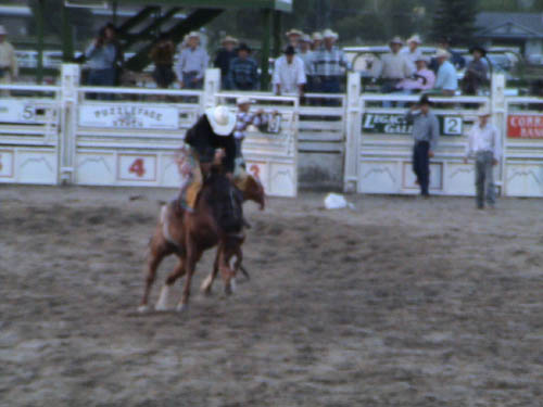 DSC00248