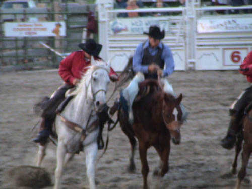 DSC00255