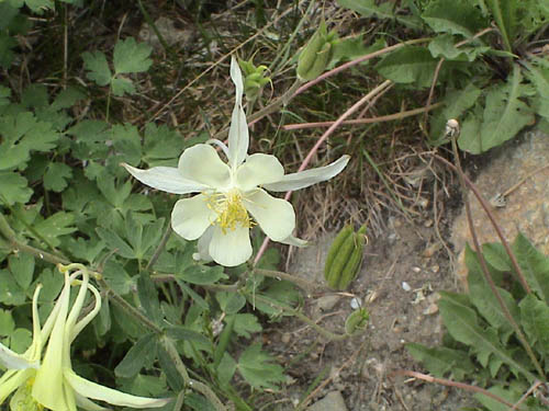 DSC00299
