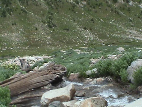 DSC00318