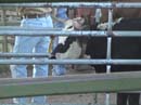 DSC00191