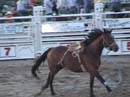 DSC00247